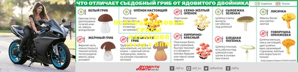 дмт Верея