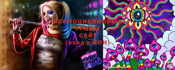 дмт Верея