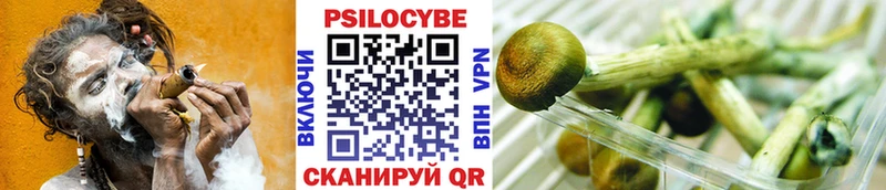 Псилоцибиновые грибы прущие грибы  наркошоп  Дудинка 